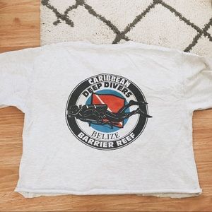 Vintage Crop Tee - Brandy Melville